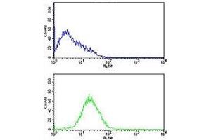 Caspase-2 antibody flow cytometric analysis of HL-60 cells (bottom histogram) compared to a negative control cell (top histogram).