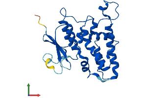 Protein Structure (PS) image for Chloride Intracellular Channel 3 (CLIC3) (AA 1-237) protein (His tag) (ABIN7561092)