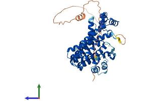 Protein Structure (PS) image for Prenyl (Decaprenyl) Diphosphate Synthase, Subunit 1 (PDSS1) (AA 1-409) protein (His tag) (ABIN7557029)