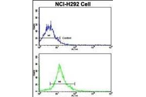 Flow cytometric analysis of NCI- cells using SOX2 Antibody (N-term)(bottom histogram) compared to a negative control cell (top histogram). (SOX2 抗体  (N-Term))