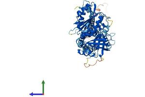 Protein Structure (PS) image for NADPH Oxidase 4 (NOX4) (AA 1-578) protein (His tag) (ABIN7561506)