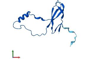 Protein Structure (PS) image for Ribosomal Protein L36a (RPL36A) (AA 1-106) protein (His tag) (ABIN7551445)