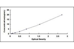 Typical standard curve (TGM3 ELISA 试剂盒)