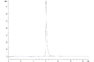 The purity of Human ITGAV&ITGB3 is greater than 95 % as determined by SEC-HPLC. (CD51/CD61 Protein (AA 31-992) (His-Avi Tag))