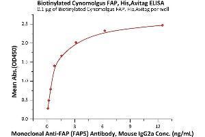 Immobilized Biotinylated Cynomolgus FAP, His,Avitag (ABIN6992328) at 1 μg/mL (100 μL/well) on streptavidin  precoated (0. (FAP Protein (AA 26-760) (His tag,AVI tag,Biotin))