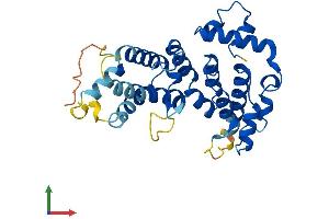 Protein Structure (PS) image for Ankyrin Repeat and SOCS Box Containing 17 (ASB17) (AA 1-295) protein (His tag) (ABIN7552428)