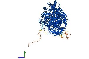 Protein Structure (PS) image for Endoplasmic Reticulum Aminopeptidase 1 (ERAP1) (AA 1-930) protein (His tag) (ABIN7565034)