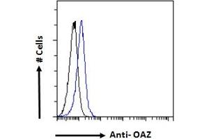 ABIN308409 Flow cytometric analysis of paraformaldehyde fixed Kelly cells (blue line), permeabilized with 0. (Znf423 抗体  (N-Term))