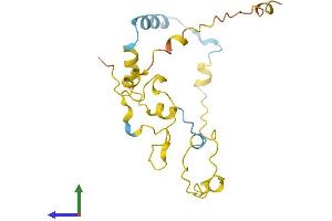 AlphaFold protein structure predicition of Human Recombinant TEX36 Protein, UniprotID Q5VZQ5