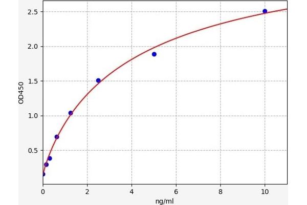 Coronin 1a ELISA 试剂盒