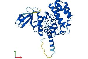 AlphaFold protein structure predicition of Human Recombinant FN3KRP Protein, UniprotID Q9HA64