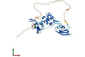 Protein Structure (PS) image for DEP Domain Containing mTOR-Interacting Protein (DEPTOR) (AA 1-409) protein (His tag) (ABIN7557418)