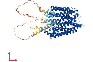Protein Structure (PS) image for Spinster Homolog 2 (SPNS2) (AA 1-549) protein (His tag) (ABIN7555634)