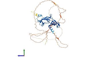 Protein Structure (PS) image for Glial Cells Missing Homolog 1 (GCM1) (AA 1-436) protein (His tag) (ABIN7547932)