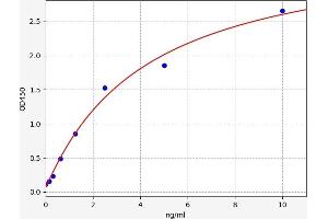 Typical standard curve (TUBA1B ELISA 试剂盒)