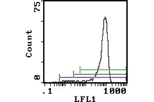 Rat anti Granulocytes (Gr-1 antigen) RB6-8C5 (Ly6g 抗体)