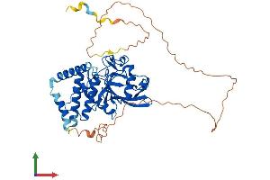Protein Structure (PS) image for Protein tyrosine Phosphatase, Non-Receptor Type 18 (Brain-Derived) (PTPN18) (AA 1-453) protein (His tag) (ABIN7557672)
