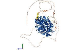 Protein Structure (PS) image for Histone Deacetylase 6 (HDAC6) (AA 1-1149) protein (His tag) (ABIN7565302)