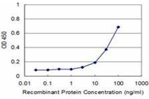 Detection limit for recombinant GST tagged MLLT3 is approximately 3ng/ml as a capture antibody. (AF9 抗体  (AA 1-568))