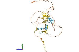 Protein Structure (PS) image for Scratch Homolog 1, Zinc Finger Protein (SCRT1) (AA 1-348) protein (His tag) (ABIN7560398)