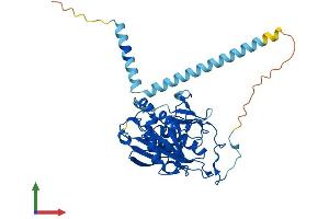 AlphaFold protein structure predicition of Human Recombinant B4GALT5 Protein, UniprotID O43286