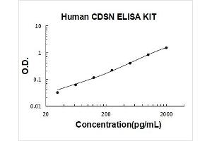 Corneodesmosin (CDSN) ELISA Kit