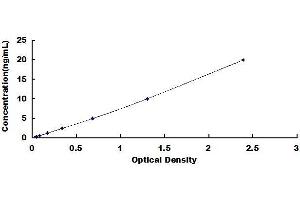 Typical standard curve (NKX6-1 ELISA 试剂盒)