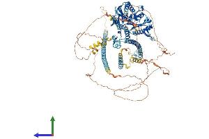 Protein Structure (PS) image for Kinesin Family Member 17 (KIF17) (AA 1-1029) protein (His tag) (ABIN7554288)