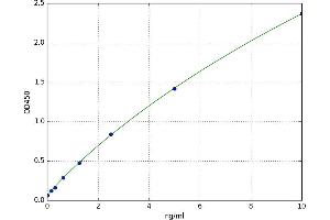 A typical standard curve (Tec Protein Tyrosine Kinase (TEC) ELISA 试剂盒)