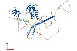 Protein Structure (PS) image for Signal Transducing Adaptor Molecule (SH3 Domain and ITAM Motif) 2 (STAM2) (AA 1-523) protein (His tag) (ABIN7562663)