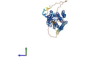 Protein Structure (PS) image for G Protein-Coupled Receptor 84 (GPR84) (AA 1-396) protein (His tag) (ABIN7548180)