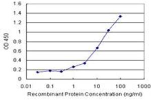 Sandwich ELISA detection sensitivity ranging from 1 ng/mL to 100 ng/mL. (NFKBIB (人) Matched Antibody Pair)