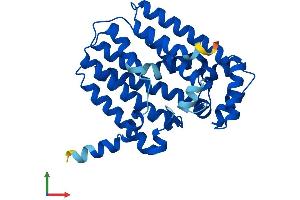 Protein Structure (PS) image for Geranylgeranyl Diphosphate Synthase 1 (GGPS1) (AA 1-300) protein (His tag) (ABIN7556241)
