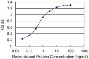 Detection limit for recombinant GST tagged AMELX is 0. (AMELX 抗体  (AA 93-191))
