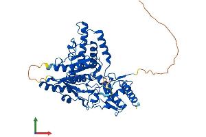 Protein Structure (PS) image for Selenocysteine Lyase (SCLY) (AA 1-445) protein (His tag) (ABIN7545988)