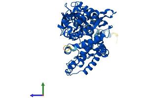 Protein Structure (PS) image for Cytochrome P450, Family 2, Subfamily D, Polypeptide 6 (CYP2D6) (AA 1-497) protein (His tag) (ABIN7546671)