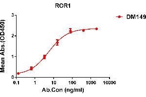 ELISA plate pre-coated by 1 μg/mL (100 μL/well) Human ROR1 protein, His tagged protein ((ABIN6964103, ABIN7042461 and ABIN7042462)) can bind Rabbit anti-ROR1 monoclonal antibody(clone: DM149) in a linear range of 1-50 ng/mL. (ROR1 抗体  (AA 30-403))