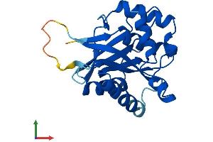 Protein Structure (PS) image for COX4 Neighbor (COX4NB) (AA 1-207) protein (His tag) (ABIN7562545)