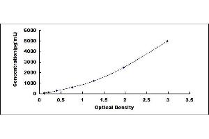Typical standard curve (ARL15 ELISA 试剂盒)