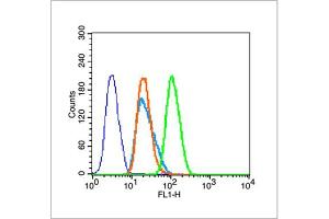 HeLa cells were fixed with 4% PFA for 10min at room temperature, permeabilized with 90% ice-cold methanol for 20 min at room temperature, and incubated in 5% BSA blocking buffer for 30 min at room temperature. (Histone 3 抗体  (H3K36me2))