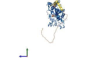 Protein Structure (PS) image for Glycerophosphodiester Phosphodiesterase Domain Containing 5 (GDPD5) (AA 1-607) protein (His tag) (ABIN7557805)