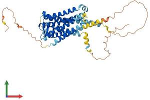 Protein Structure (PS) image for Prostaglandin E Receptor 1 (Subtype EP1), 42kDa (PTGER1) (AA 1-402) protein (His tag) (ABIN7550625)