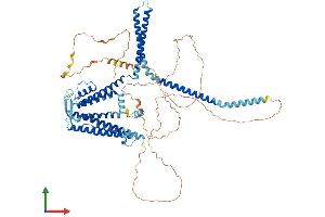 Protein Structure (PS) image for Small Conductance Calcium-Activated Potassium Channel Protein 3 (KCNN3) (AA 1-732) protein (His tag) (ABIN7556516)