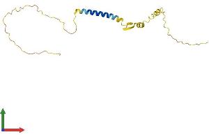 AlphaFold protein structure predicition of Mouse Recombinant Nsg2 Protein, UniprotID P47759