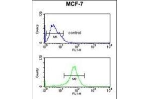 Flow Cytometry (FACS) image for anti-Deiodinase, Iodothyronine, Type II (DIO2) (AA 165-191) antibody (ABIN652664)