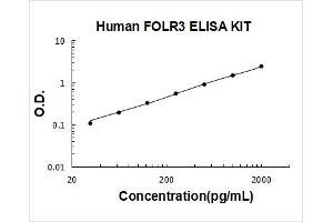 Folate Receptor 3 (Gamma) (FOLR3) ELISA Kit
