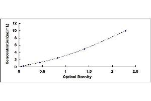 Typical standard curve (Neuregulin 1 ELISA 试剂盒)