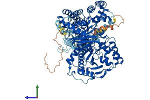AlphaFold protein structure predicition of Mouse Recombinant Cpt1c Protein, UniprotID Q8BGD5