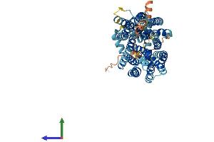 Protein Structure (PS) image for Major Facilitator Superfamily Domain Containing 2A (MFSD2A) (AA 1-534) protein (His tag) (ABIN7564999)