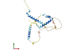 Protein Structure (PS) image for Gem (Nuclear Organelle) Associated Protein 8 (GEMIN8) (AA 1-238) protein (His tag) (ABIN7558633)